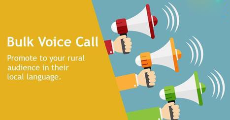 voice call